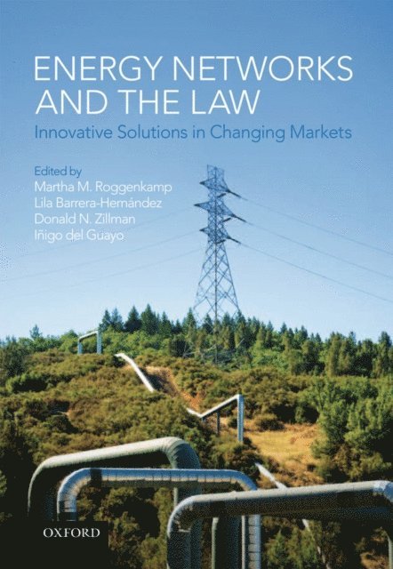 Inigo del Guayo, Donald N. Zillman, Lila Barrera-Hernandez, Martha M. Roggenkamp - Energy Networks and the Law, E-bok