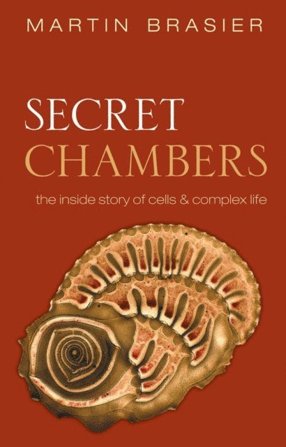 Martin Brasier - Secret Chambers, E-bok. Tillgänglighet: Lägg i varukorg