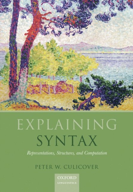 Peter W. Culicover - Explaining Syntax, E-bok