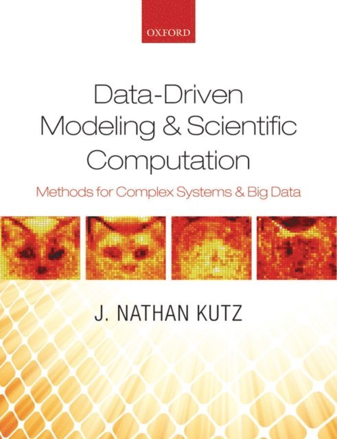 J. Nathan Kutz - Data-Driven Modeling & Scientific Computation, E-bok