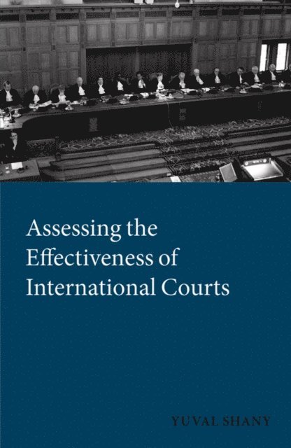 Yuval Shany - Assessing the Effectiveness of International Courts, E-bok