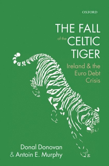 Antoin E. Murphy, Donal Donovan - Fall of the Celtic Tiger, E-bok