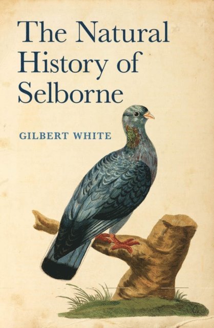 Gilbert White, Anne Secord - Natural History of Selborne, E-bok