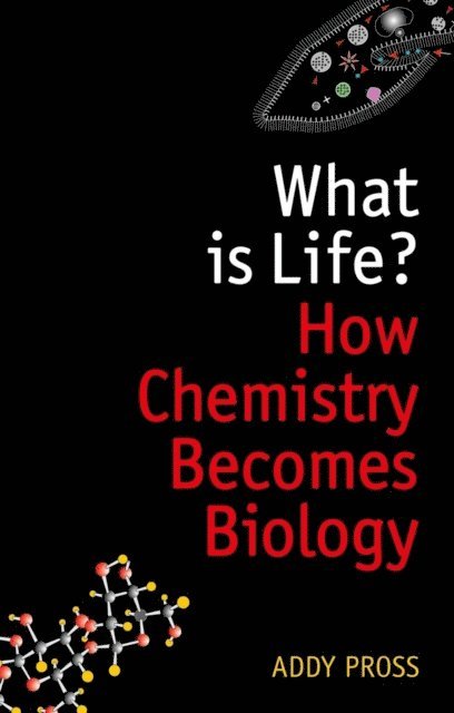 Addy Pross - What is Life?, E-bok
