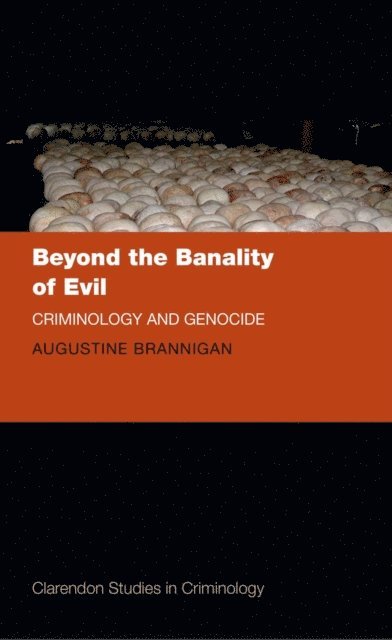 Augustine Brannigan - Beyond the Banality of Evil, E-bok