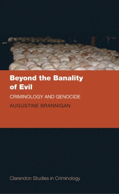 Augustine Brannigan - Beyond the Banality of Evil, E-bok