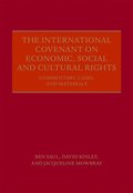 International Covenant on Economic, Social and Cultural Rights