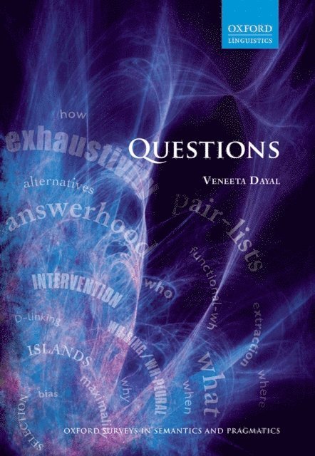 Veneeta Dayal - Questions, E-bok