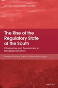 Rise of the Regulatory State of the South