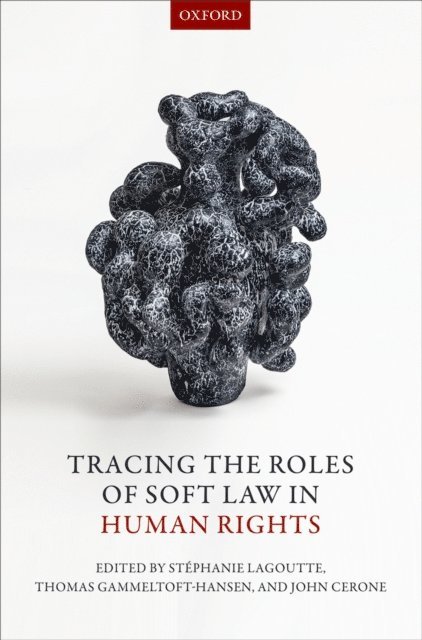 John Cerone, Thomas Gammeltoft-Hansen, StA(c)phanie Lagoutte - Tracing the Roles of Soft Law in Human Rights, E-bok