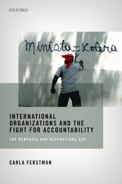 Carla Ferstman - International Organizations and the Fight for Accountability, E-bok