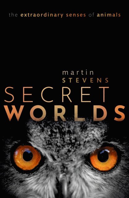 Martin Stevens - Secret Worlds, E-bok