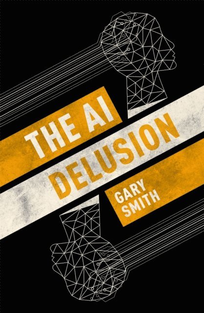 Gary Smith - AI Delusion, E-bok