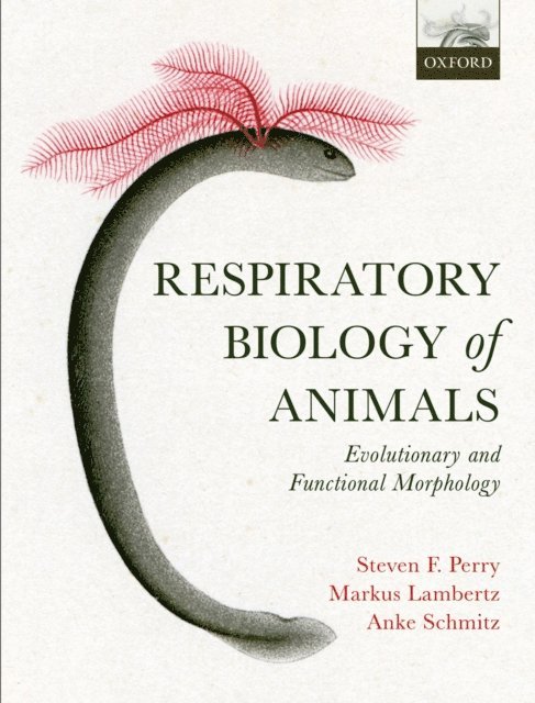 Anke Schmitz, Markus Lambertz, Steven F. Perry - Respiratory Biology of Animals, E-bok