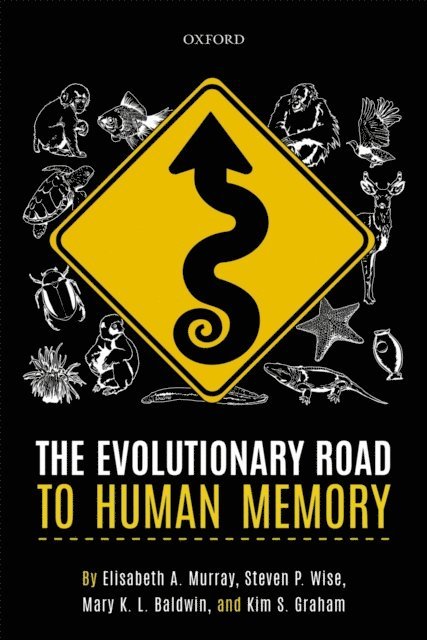 Kim S. Graham, Mary K. L. Baldwin, Steven P. Wise, Elisabeth A. Murray - Evolutionary Road to Human Memory, E-bok