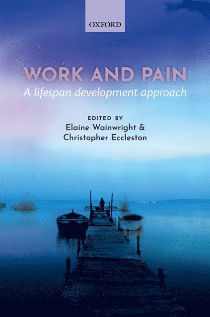 Christopher Eccleston, Elaine Wainwright - Work and pain, E-bok