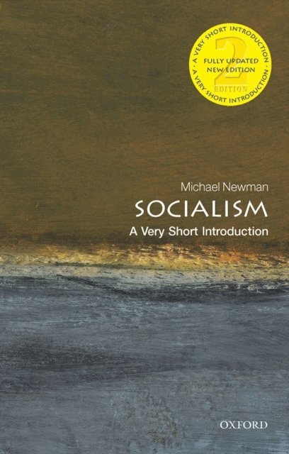 Michael Newman - Socialism, E-bok