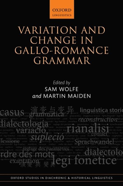Martin Maiden, Sam Wolfe - Variation and Change in Gallo-Romance Grammar, E-bok