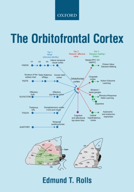 Edmund T. Rolls - Orbitofrontal Cortex, E-bok