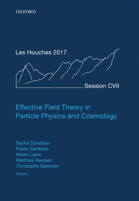 Christophe Salomon, Matthias Neubert, Mikko Laine, Paolo Gambino, Sacha Davidson - Effective Field Theory in Particle Physics and Cosmology, E-bok