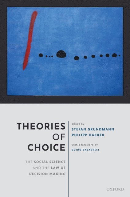 Philipp Hacker, Stefan Grundmann - Theories of Choice, E-bok