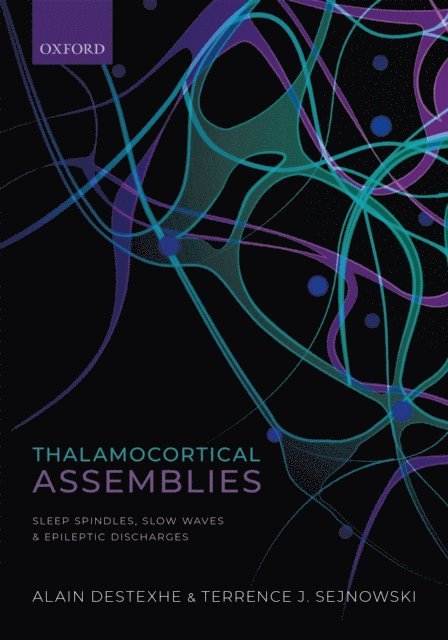 Terrence Sejknowski, Alain Destexhe - Thalamocortical Assemblies, E-bok