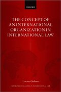 Concept of an International Organization in International Law