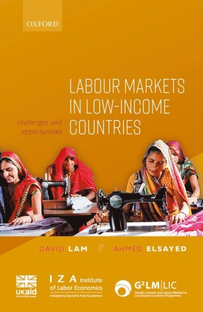 Ahmed Elsayed, David Lam - Labour Markets in Low-Income Countries, E-bok