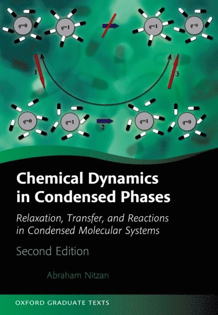 Abraham Nitzan - Chemical Dynamics in Condensed Phases, E-bok