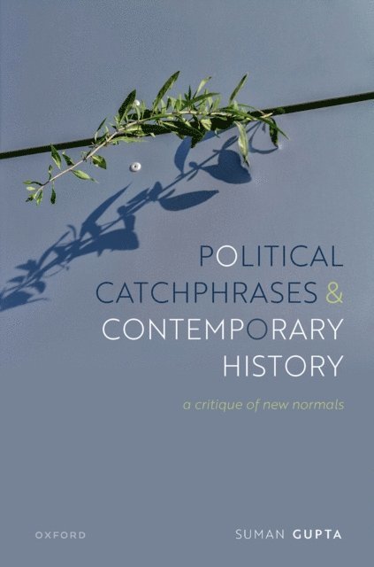 Suman Gupta - Political Catchphrases and Contemporary History, E-bok