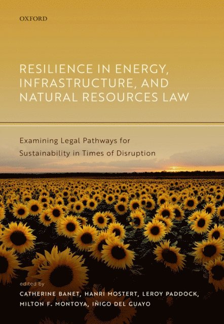 IA±igo del Guayo, Milton Fernando Montoya, LeRoy Paddock, Hanri Mostert, Catherine Banet - Resilience in Energy, Infrastructure, and Natural Resources Law, E-bok