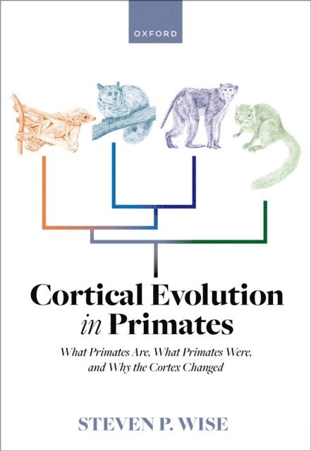 Steven P. Wise - Cortical Evolution in Primates, E-bok