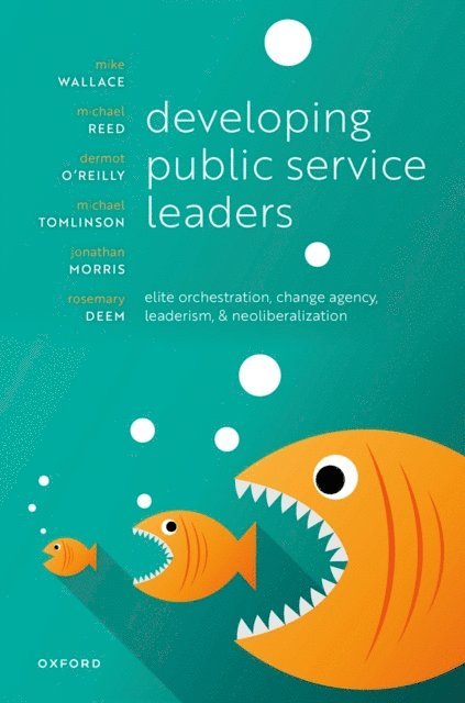 Rosemary Deem, Jonathan Morris, Michael Tomlinson, Dermot O'Reilly, Michael Reed, Mike Wallace - Developing Public Service Leaders, E-bok