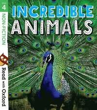 Read with Oxford: Stage 4: Non-fiction: Incredible Animals
