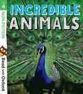 Read with Oxford: Stage 4: Non-fiction: Incredible Animals