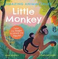 Amazing Animal Tales: Little Monkey