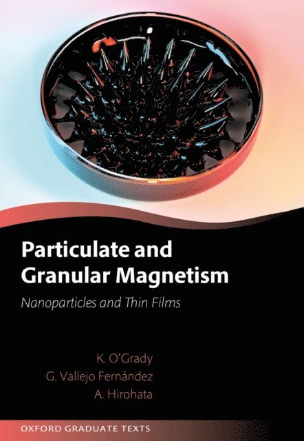 Atsufumi Hirohata, Gonzalo Vallejo Fernandez, Kevin O'Grady - Particulate and Granular Magnetism, E-bok