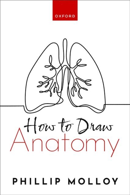 How To Draw Anatomy