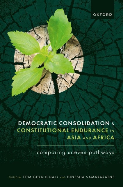 Dinesha Samararatne, Tom Gerald Daly - Democratic Consolidation and Constitutional Endurance in Asia and Africa, E-bok