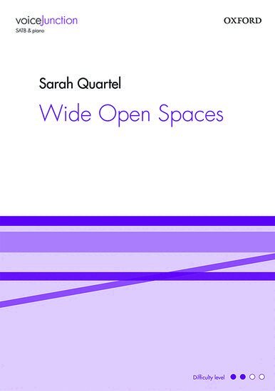 Wide Open Spaces, Övrigt