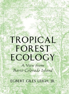 Tropical Forest Ecology