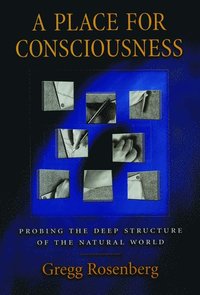 A Place for Consciousness