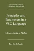 Principles and Parameters in a VSO Language