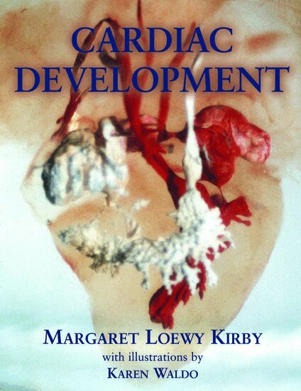 Margaret Loewy Kirby - Cardiac Development, Inbunden