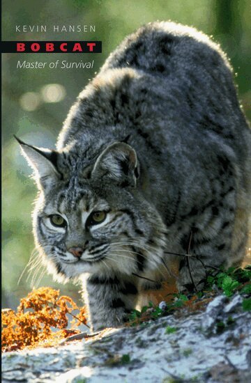 Kevin Hansen - Bobcat, Inbunden. Tillgänglighet: Lägg i varukorg