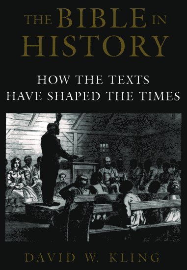 David W. Kling - The Bible in History, Häftad