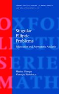 Singular Elliptic Problems