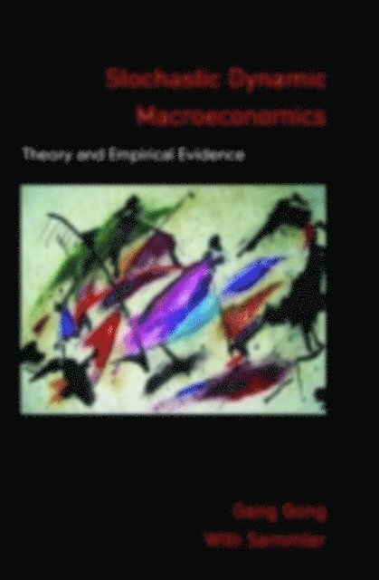 Willi Semmler, Gang Gong - Stochastic Dynamic Macroeconomics, E-bok