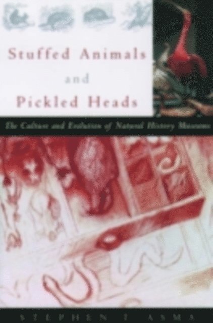 Stephen T. Asma - Stuffed Animals and Pickled Heads, E-bok