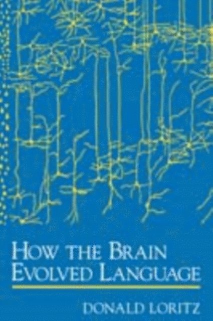 Donald Loritz - How the Brain Evolved Language, E-bok. Tillgänglighet: Lägg i varukorg